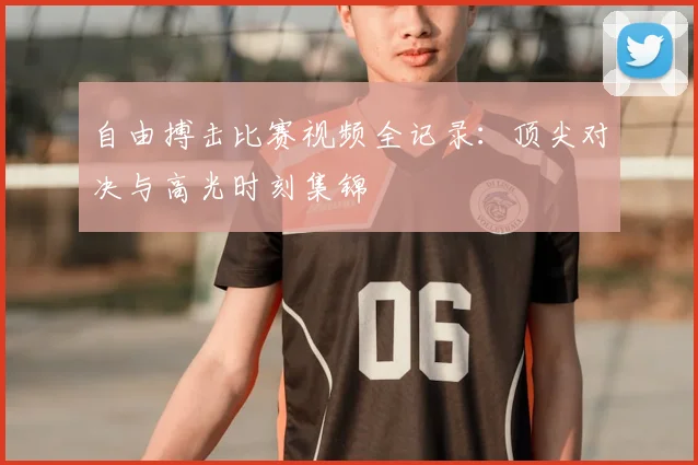 自由搏击比赛视频全记录：顶尖对决与高光时刻集锦